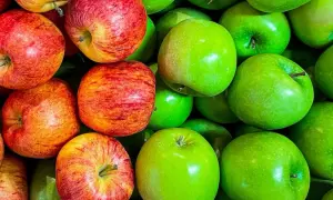 Jakie jabłka na szarlotkę? Sekrety idealnego smaku i konsystencji