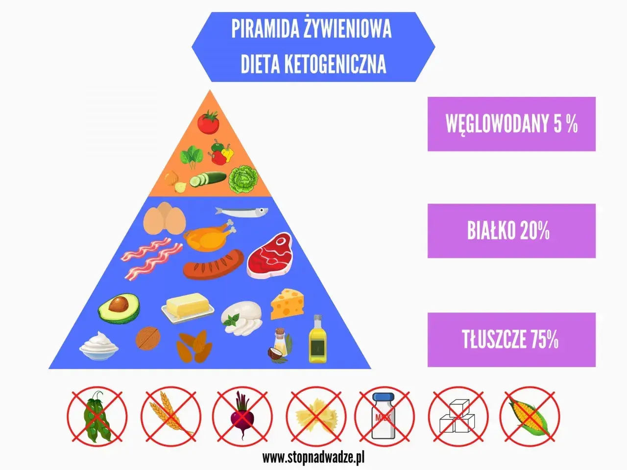 Piramida żywieniowa dla diety ketogenicznej: 75% tłuszczy, 20% białka, 5% węglowodanów. Zakazane: fasolka, zboża, buraki, makaron, cukier, kukurydza.