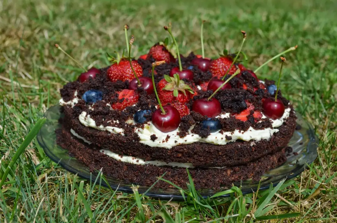 Obłędny tort czekoladowy z mascarpone i owocami: truskawki, wiśnie i borówki na tle zielonej trawy.