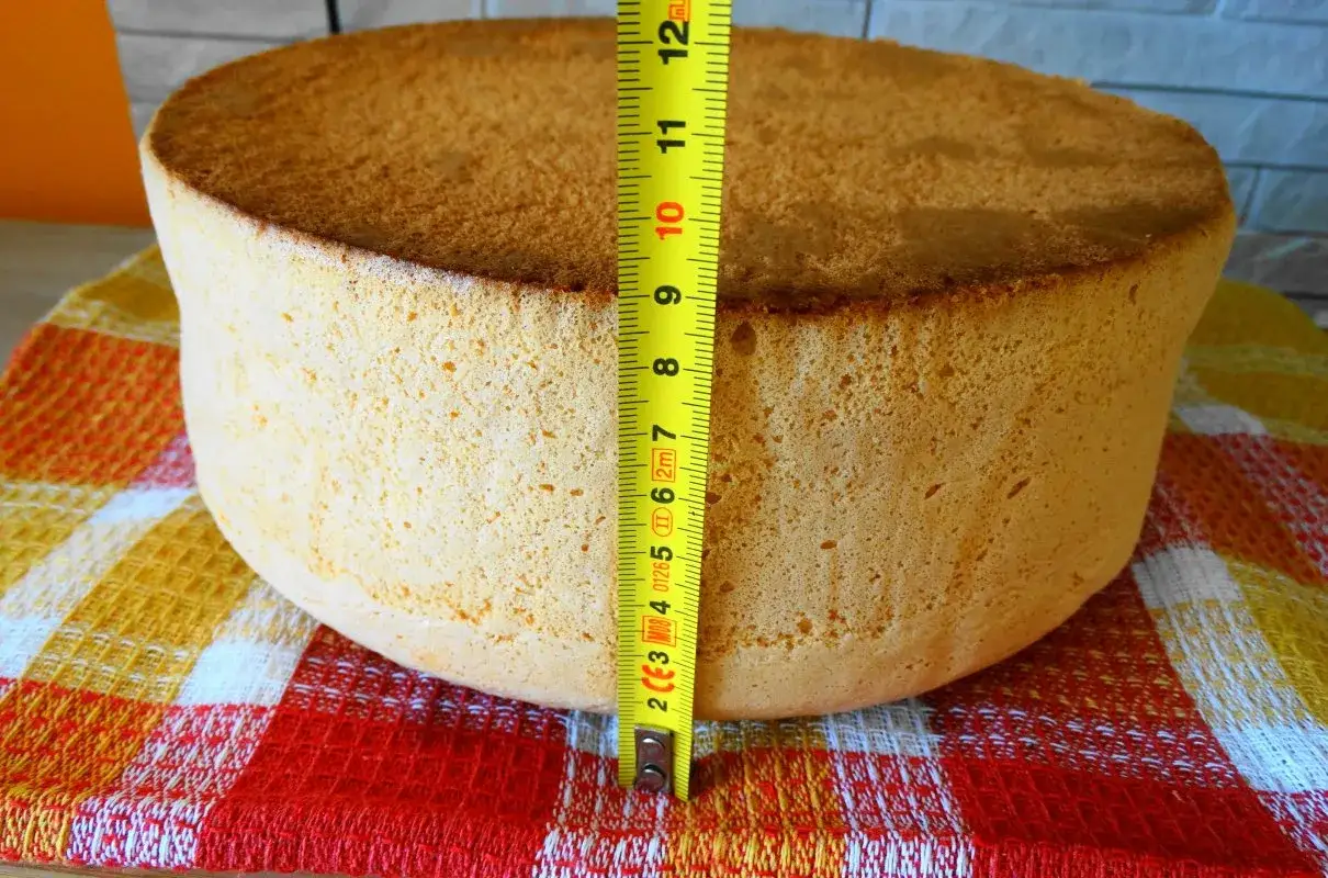 Idealny biszkopt, który zawsze wychodzi, mierzy ok. 10 cm wysokości. Puszysty i złocisty, gotowy do dekoracji.