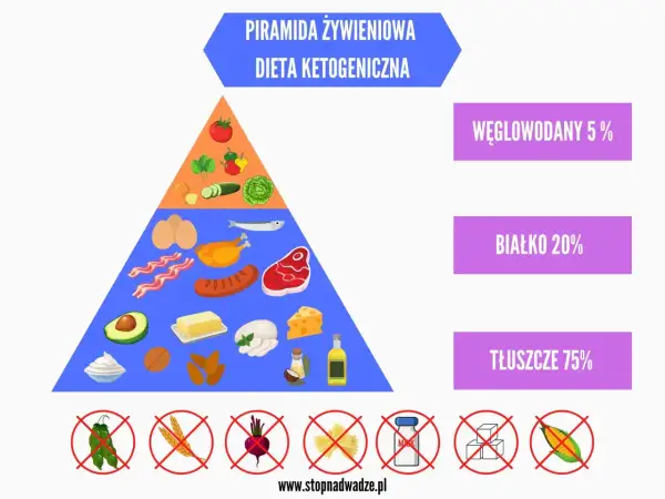 Piramida żywieniowa dla diety ketogenicznej: 75% tłuszczy, 20% białka, 5% węglowodanów. Zakazane: fasolka, zboża, buraki, makaron, cukier, kukurydza.